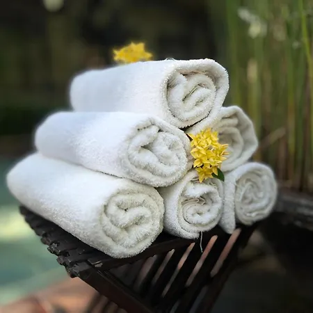 Villa Boreh Beach Resort And Spa